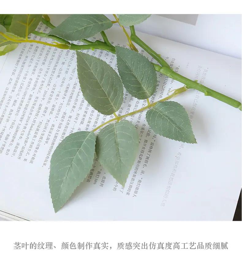 贝勒米3头茶玫_12.jpg