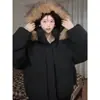 Design Moderno Outono e Inverno Estilo Coreano Para Ir ao Trabalho Lã Grossa Unissex Quente Solta Gola de Pelo Jaqueta de Algodão Moderna