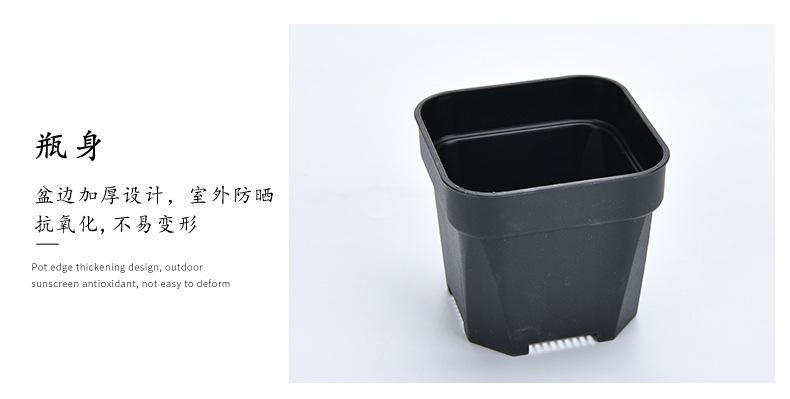 详情图片_06.jpg