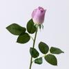 Rosa Simulada Única Toque Realista Rosa Hidratante Estilo Ins Decoração de Casa Buquê de Casamento Botão de Rosa