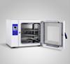 Secador de hierbas medicinales chinas, secador de laboratorio, pantalla digital de temperatura constante con función de temporización, secador de granos