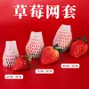 Venta Directa de Fábrica Cubierta de Malla para Fresas Cubierta Protectora Gruesa de Espuma para Frutas Bolsa de Espuma para Embalaje de Nisperos Transpirable Envío Gratis