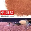 Grava de fondo para acuario sustrato sin lavar paisajismo roca volcánica arroyo arena selva arena blanca piedras para tortugas arena del Nilo