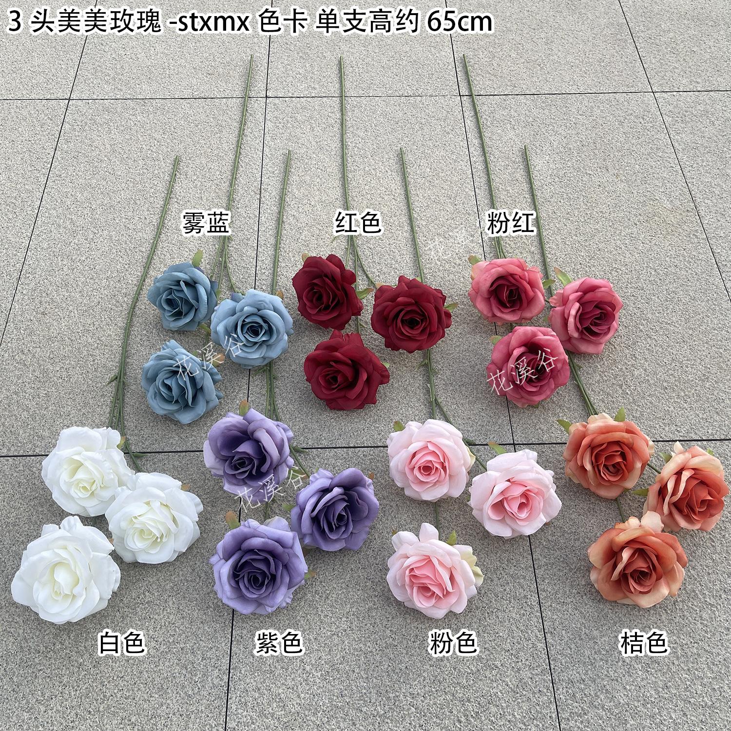 3头美美玫瑰-stxmx 色卡 花溪谷.jpg