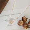 Cadena Clavicular Elegante para Mujer con Baño de Oro Real y Circonita Microincrustada, Collar de Cintura Pequeña de Concha Natural de Gama Alta, Cadena para el Cuello Versátil