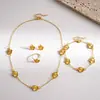 Conjunto de 4 Peças de Joias Florais Estilo Metal Europeu e Americano Transfronteiriço, Corrente de Clavícula Exquisita e Elegante, Acessório de Pescoço de Nicho de Luxo Leve para Mulheres