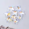 15Mmab Estrela-do-mar Colorida Borboleta Contas Soltas Colar Brincos Pingente Acessórios Pulseira DIY Kit de Materiais DIY