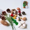 Fruta Fixa Natural Planta Fruta Casca Espécime Material Decoração Flores Secas Fatias Jardim de Infância DIY Pacote de Material de Natal
