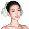 Diadema del Mismo Estilo de Liu Yifei, Pasador de Gypsophila, Gran Ceremonia de la República de China, Elegantes y de Alta Gama Accesorios para el Cabello y Tocados para Mujeres