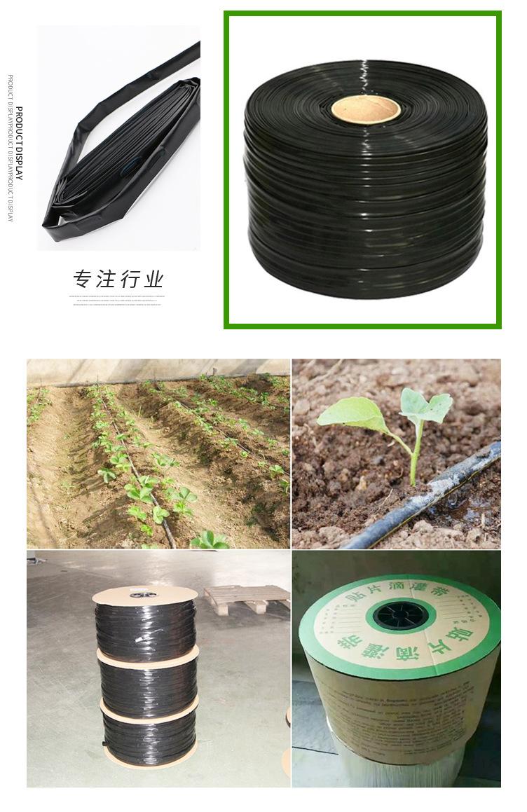 jiujiu(49)-1_08.jpg