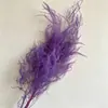 Atacado de Grama Eterna do Fabricante para Casamento e Decoração de Casa DIY Materiais Florais, Grama de Cabelo Longo para Flores de Arte Penduradas
