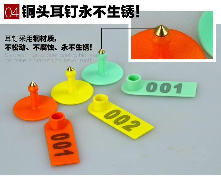 TB29AeGXmiJ.eBjSspiXXbqAFXa_!!