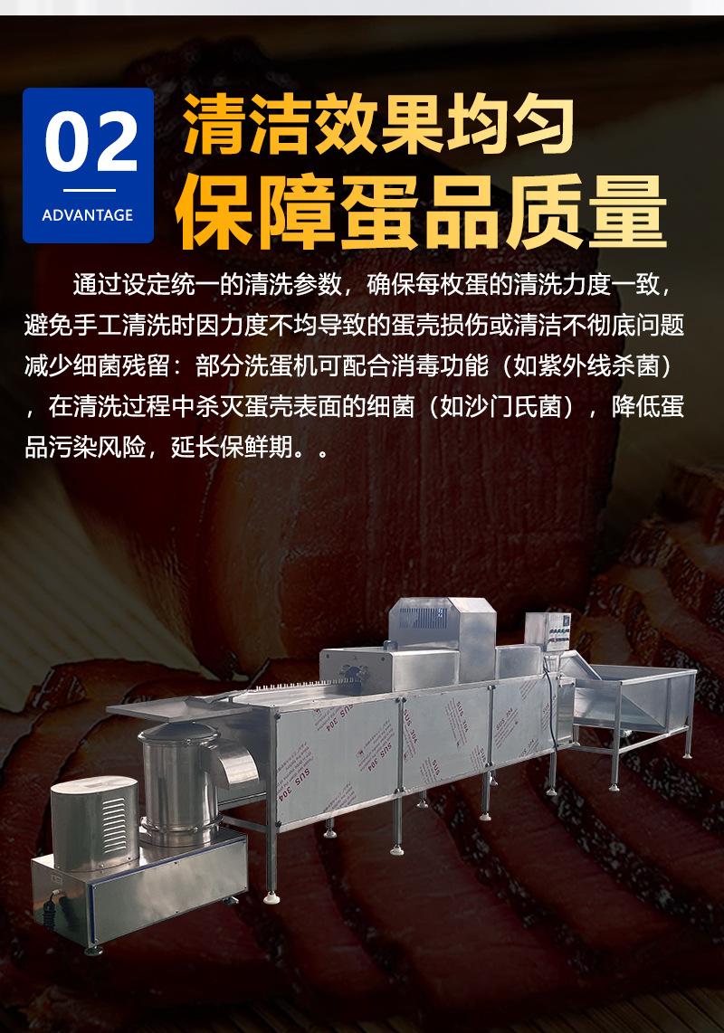 单排洗蛋机 (5)