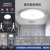 Luminária de Teto para Escadas, Corredores, Hall de Entrada, Varandas, Sensor de Movimento Infravermelho Automático por Radar para Corpo Humano, LED Especial
