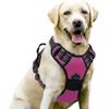 Correa para Perro Amazon Arnés para Mascotas Correa de Nylon para Perro Arnés para Perro Grande Suministros para Mascotas Fábrica Venta al por Mayor