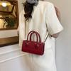 Bolso Bandolera Exquisito de Alta Gama Bolso Cuadrado Pequeño de Cadena para Mujer 2025 Nuevo Diseño de Nicho Bolso Caja Bolso Bandolera de Un Solo Hombro Moderno
