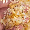 Joias para unhas parquete imitação de concha ponto material esmeralda pérola quebrada broche DIY peça de concha acessório de grampo de cabelo antigo