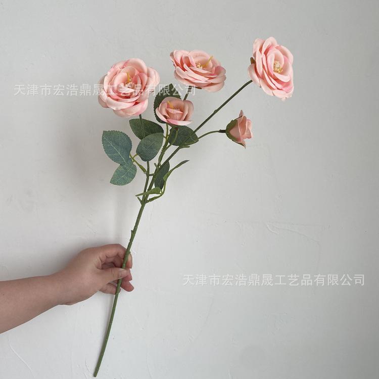 微信图片_202204111604482_副本