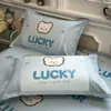 Fundas de almohada de seda helada de verano frescas y sencillas, juego de dos, 48x74 cm, fundas de almohada de ratán helado para uso doméstico, funda interior para núcleo de almohada de niños