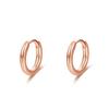 Brincos simples e versáteis de roda gigante, design de nicho feminino, senso de alto nível, banho S925, brincos que não desbotam facilmente, originais
