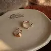 Brincos de Círculo com Fio Torcido, Design de Nicho, Modernos e Versáteis, Brincos de Novo Estilo, Tarraxas e Presilhas