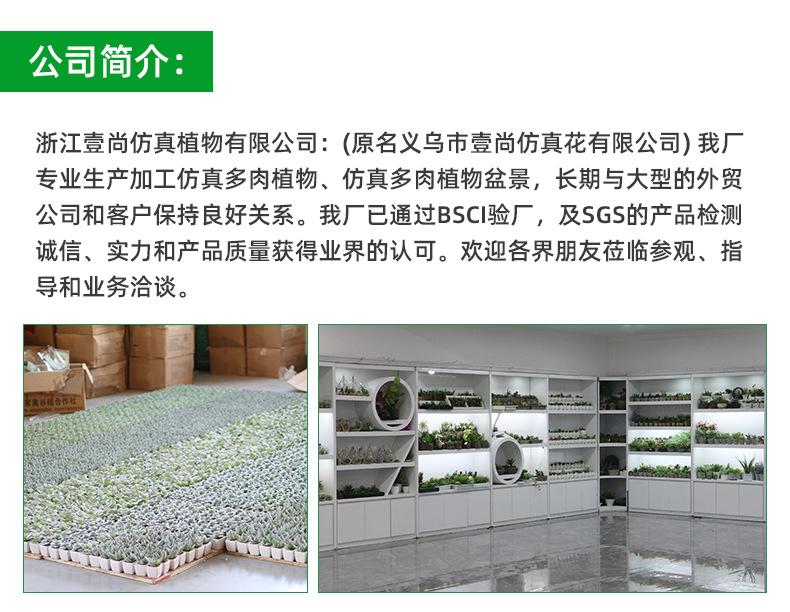 AG004新详情_10.jpg