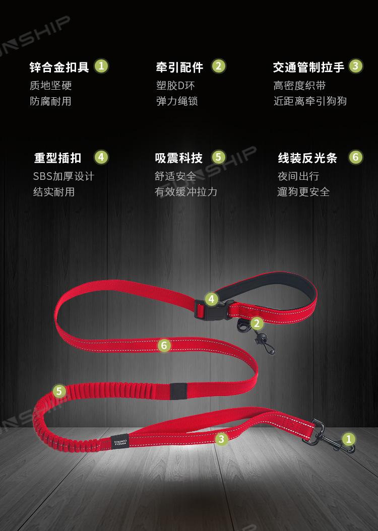 宠物跑步牵引绳V_20191021_04.jpg
