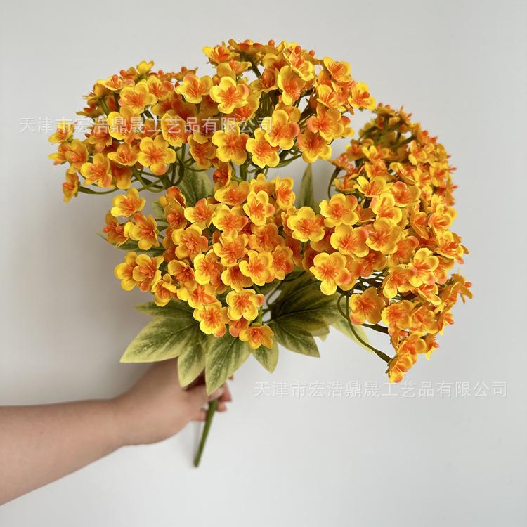 微信图片_202305101709196_副本