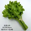 Modelo de Verdura Simulada Lechuga Falsa Repollo Brócoli Hojas Verdes Hojas de Shanghái Modelo de Gabinete Decoración para Casa