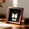 Especimen de Mariposa Real Colgante de Madera Estilo Nórdico Simple Moderno Regalo de Cumpleaños Marco de Fotos de Madera Simple