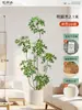 Plantas Verdes Artificiais de Alta Qualidade para Decoração de Sala de Estar, Planta Realista Falsa de Figueira-da-Índia Preta para Decoração de Sala de Transmissão ao Vivo