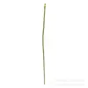 Hastes de Flores Artificiais, Hastes de Rosa Antúrio Vermelho, Hastes Retas, Arame de Ferro para DIY, Hastes de Flores Moldadas por Injeção Revestidas com Cola, Materiais e Acessórios para Artesanato com Flores