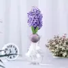 Venta al por mayor de fábrica Bulbos de jacinto Set hidropónico con botella Flores de cultivo en agua de invierno Plantas en maceta resistentes al frío Interior/Exterior