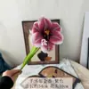 Flores Artificiais, Tulipas Marrons, Flores Falsas de Alta Qualidade, Decorações de Casamento, Adereços para Fotos, Decoração de Casa Transfronteiriça, Arte Floral
