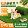 Césped artificial, alfombra de césped artificial para mascotas, alfombra de baño especial para perros y gatos, alfombra a prueba de orina, alfombra antideslizante para balcón