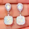 Joom AliExpress ebay novos brincos de zircônia incrustada Opala aubao brincos femininos de moda europeia e americana joias por atacado