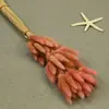 Flores Secas, Cola de Conejo, 60 Piezas/Manojo, Ramo de Lujo Ligero, Adornos de Flores Reales, Pequeño Ramo de Flores Eternas Regalo, Materiales de Flores Reales