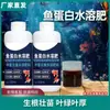 Fertilizante Solúvel em Água de Proteína de Peixe Aminoácido Página Geral para Frutas, Hortaliças e Florais Solução Nutritiva Geral Agente Enraizador
