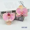 Filme Phalaenopsis Flor Pequena Alta Simulação Sentir Phalaenopsis Férias de Verão Processamento de Acessório de Cabeça DIY Chapéu de Formatura