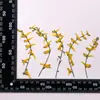 Forma Natural Flores Secas en Relieve Plantas en Relieve Especímenes de Enseñanza Marcadores de Libros Hechos a Mano DIY Pegamento Flores Secas Funda para Teléfono Móvil