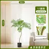 Planta Simulada de Jacaranda en Maceta Decoración Lateral de Sofá Impermeable a Prueba de Sol Decoración Decoración del Hogar Accesorio de Fotografía Árbol Falso Flor Falsa