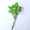 Ramo Mini de Flores Secas Transfronterizo DIY Mezcla y Combina Ramo para la Punta del Dedo Cubo de Regalo Kit de Materiales Decoración de Tarjeta de Felicitación