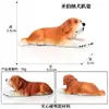 Modelos de Animales Realistas: Doberman, Golden Retriever, Perro de Peluche, Husky, Collie - Adornos para Coche y Juguetes para Niños