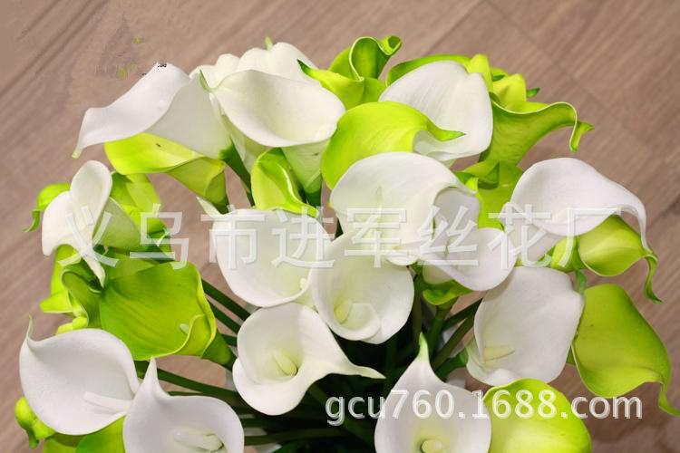 小马蹄2_副本
