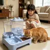 Comedero Transfronterizo para Mascotas, Plato para Gatos, Plato para Perros, Recipiente para Comida de Gato, Doble Plato, Plato Automático de Agua y Comida, Bebedero, Herramienta Esencial para el Cuidado de Mascotas