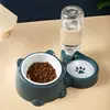 Comedero para Gatos con Tapa Inclinada, Comedero para Perros, Comedero para Comida de Gato, Acero Inoxidable de Doble Compartimento, Relleno Automático de Agua para Mascotas, Dispositivo de Alimentación de Agua Todo en Uno.