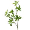 Planta Verde Simulada Galho Longo Madeira Bêbada Cavalo Folhas com Toque de Madeira Folhas Artificiais Adereços de Fotografia Projeto de Decoração Suave para Casa Nórdica