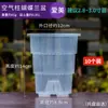 Maceta transparente estética de musgo de sphagnum para orquídeas phalaenopsis, maceta de plástico transpirable para plantas de interior calientes, maceta de resina Qingshan con control de raíces para dendrobium
