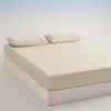 Sábana de forro polar grado A, pieza única, cubrecama cálido otoño/invierno, juego de tres piezas, modelo nuevo 2026, protector de colchón