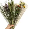 Decorações para Gaiola de Hamster Kano Pet, Paisagismo com Tema Selvagem, Buquês de Flores Secas, Petiscos para Hamster Dourado, Suprimentos de Paisagismo Desodorizantes de Verão